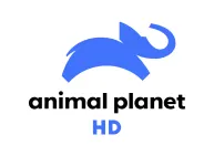 Animal Planet